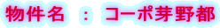 �������@�F�@�R�[�|���s